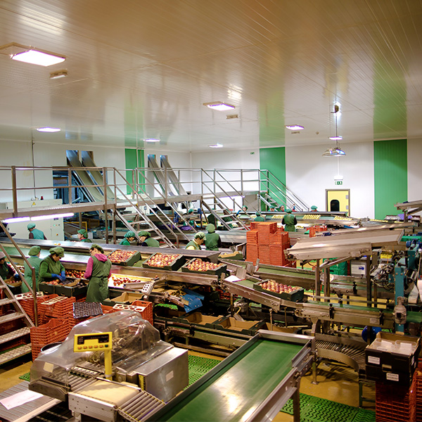 Agroalimentario2